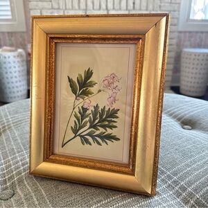 5x7 Gold Wooden Frame of Vintage Botanical Ephemera